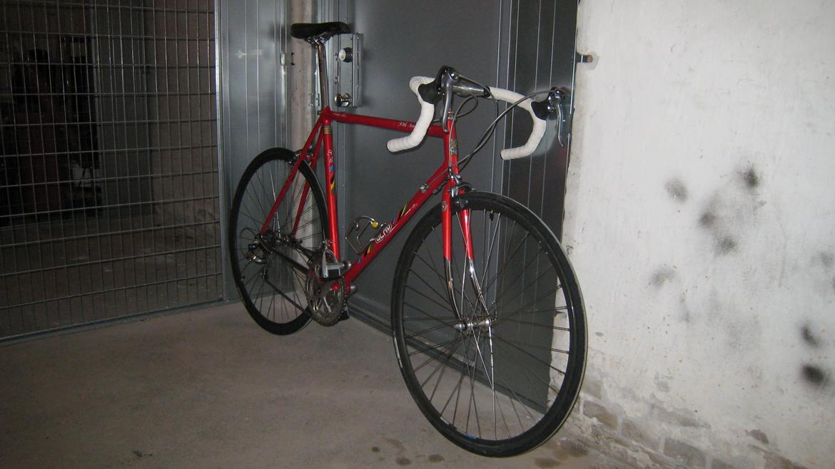 Olmo 50th anniversary billede 1