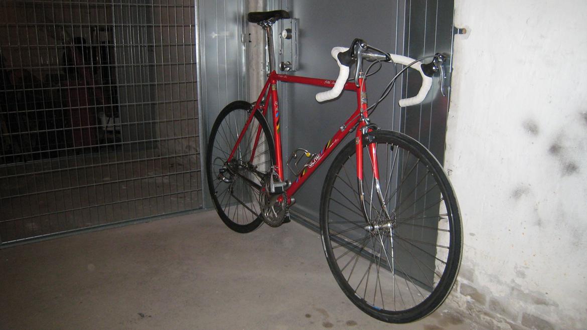 Olmo 50th anniversary billede 2