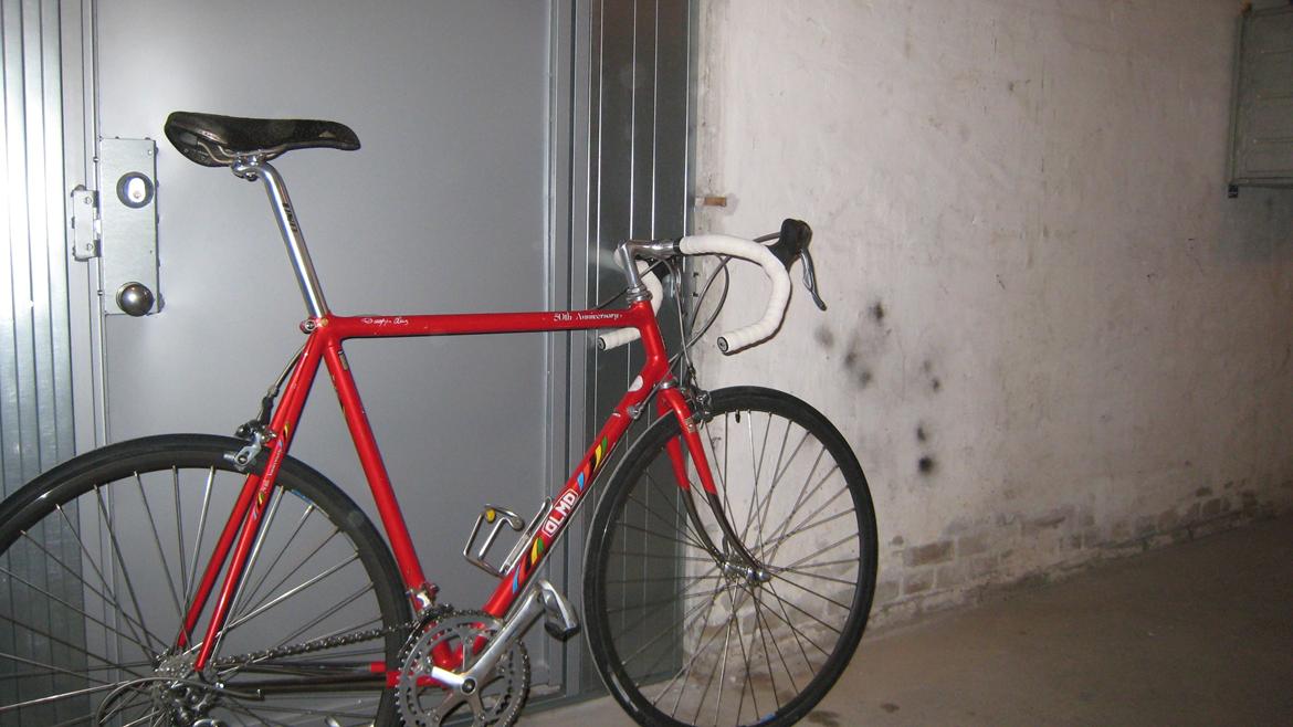 Olmo 50th anniversary billede 5