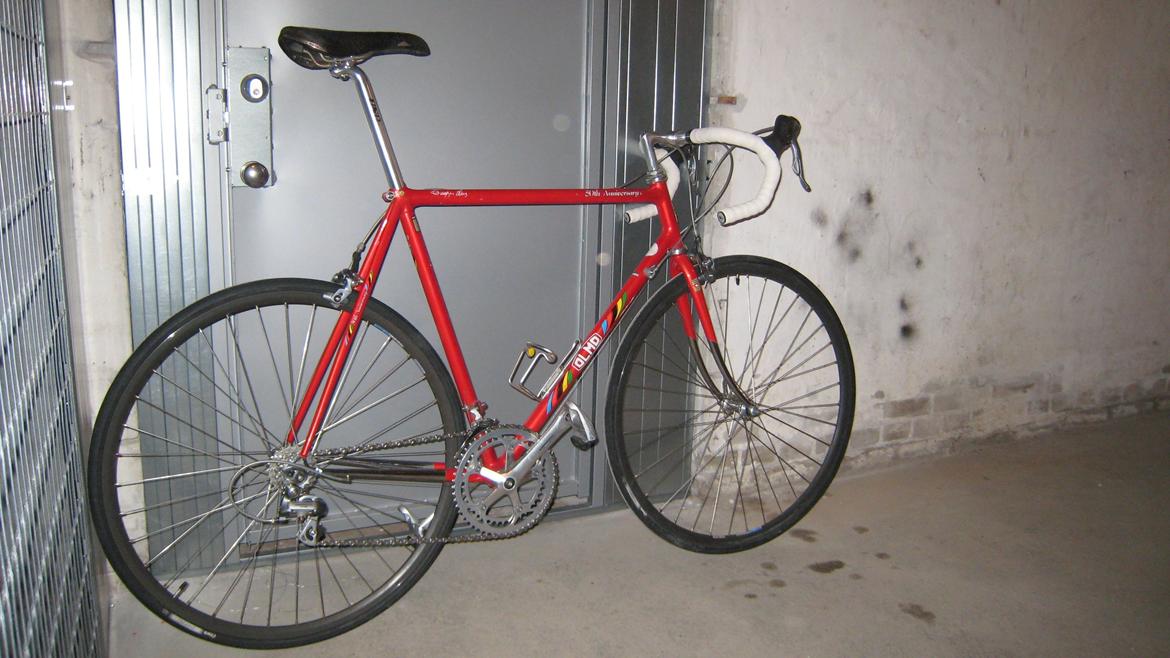 Olmo 50th anniversary billede 6