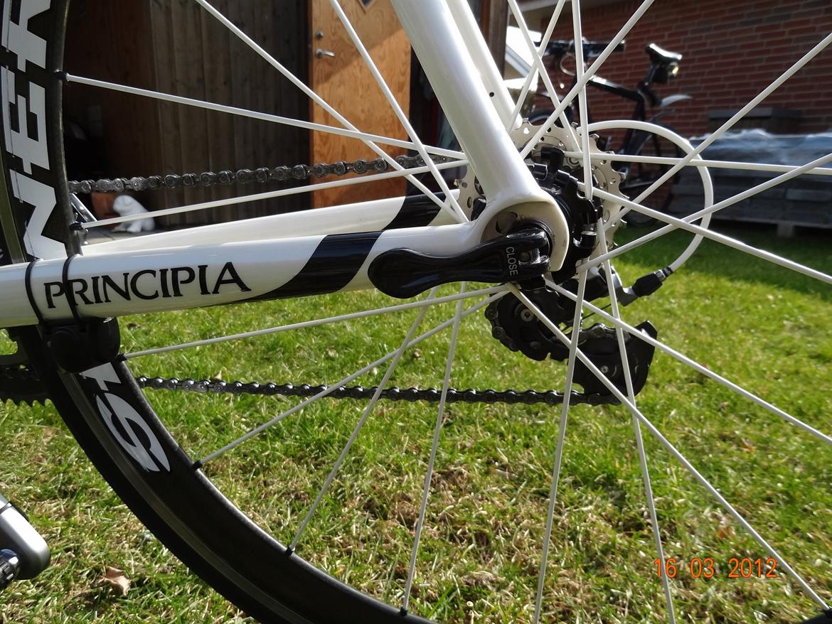 Principia evolution weave c16t billede 15