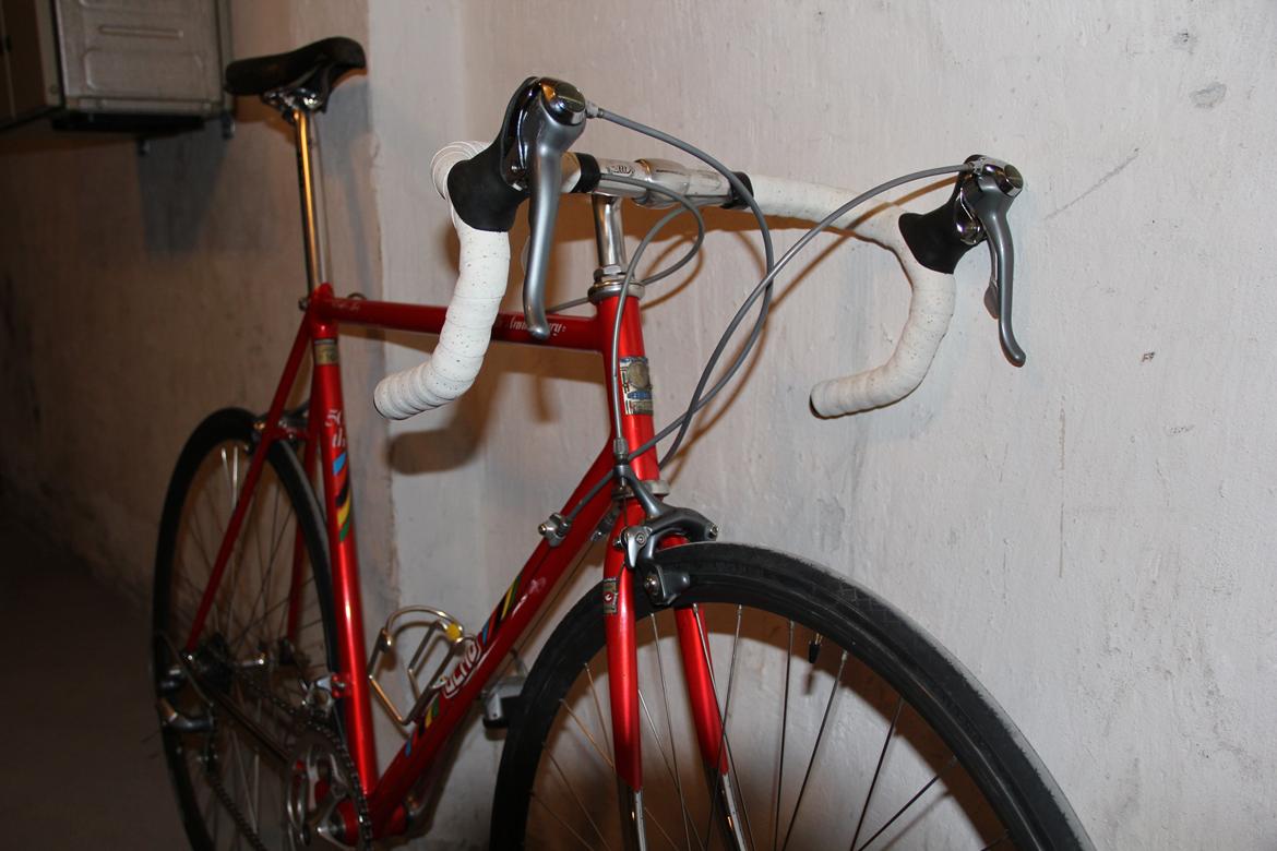 Olmo 50th anniversary billede 8