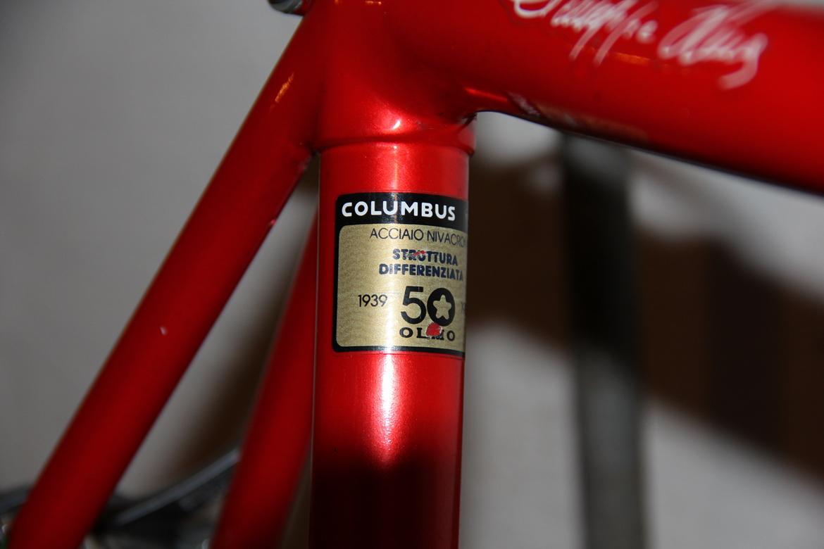 Olmo 50th anniversary billede 10