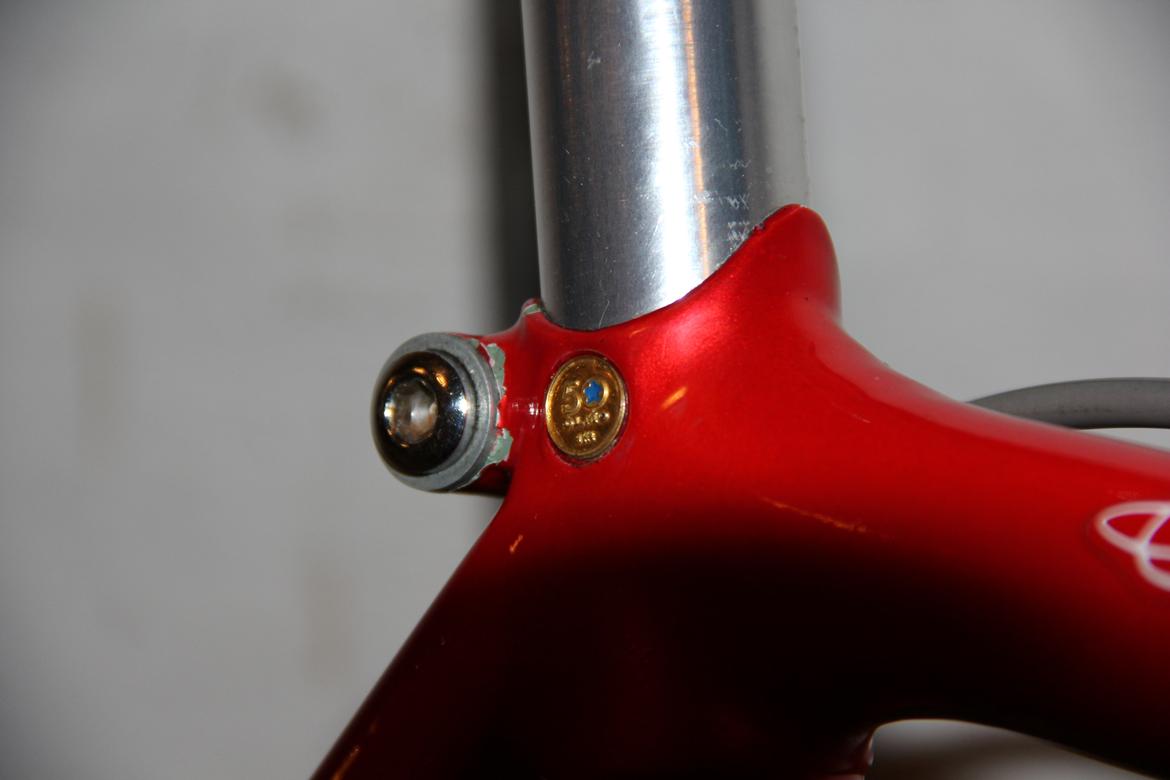 Olmo 50th anniversary billede 11