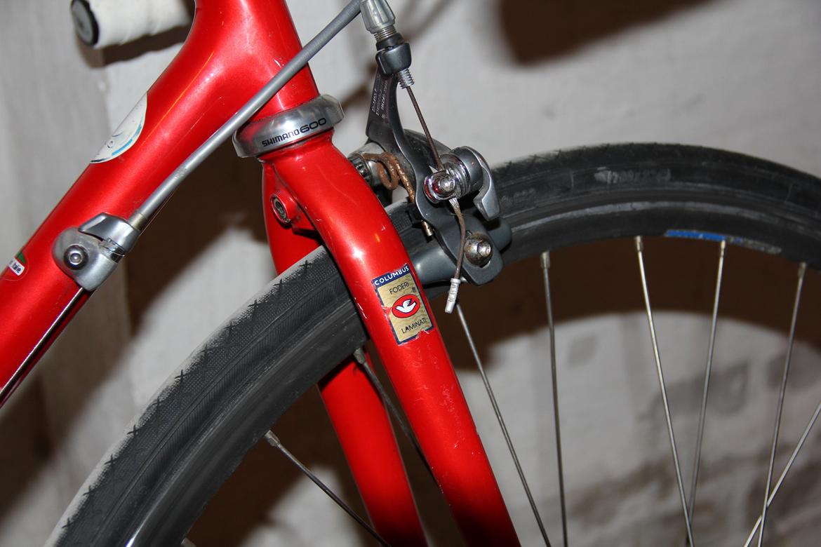 Olmo 50th anniversary billede 12