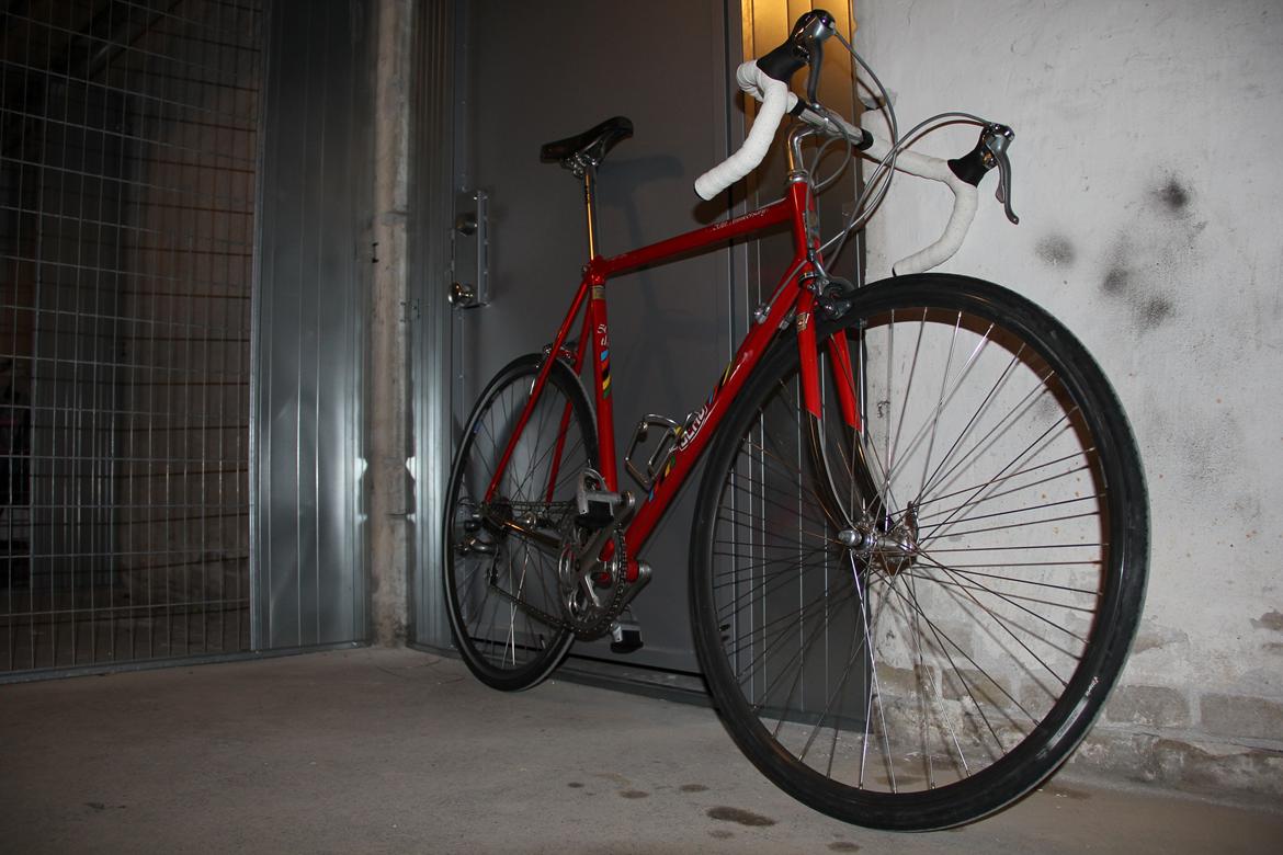 Olmo 50th anniversary billede 16