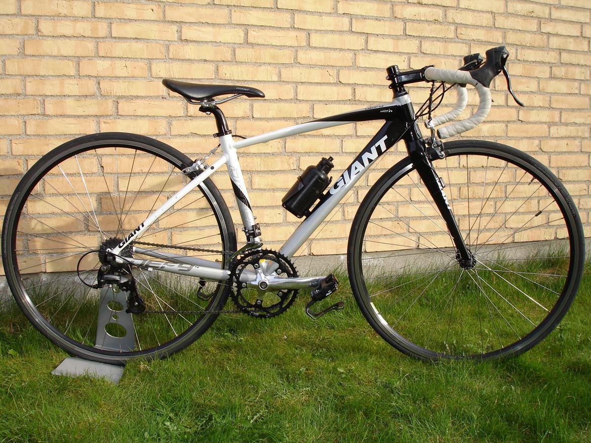 Giant DEFY billede 1