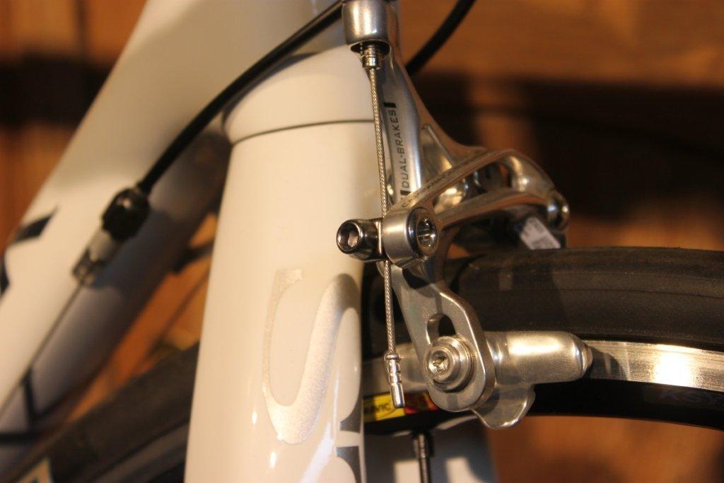 Storck Fenomalist billede 8