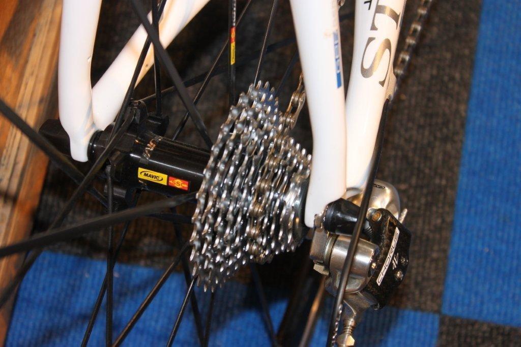 Storck Fenomalist billede 14