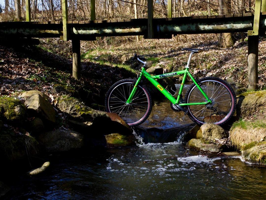 Peugeot exo mountain online bike