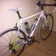 Cannondale caad 10