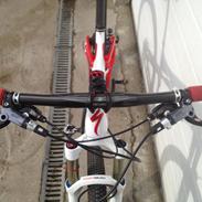 Specialized EPIC Expert 29