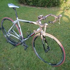 Specialized Allez Comp (Tidl. cykel)