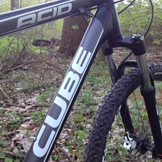 Cube Acid 2009