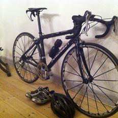 Fondriest Domino