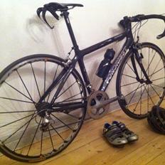 Fondriest Domino