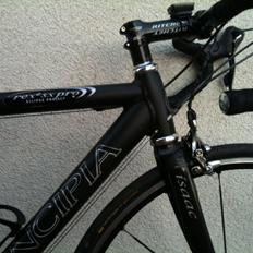 Principia REX e SX Pro