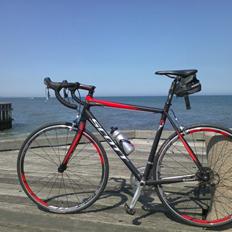 Scott Speester S20