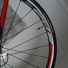 Scott Speester S20