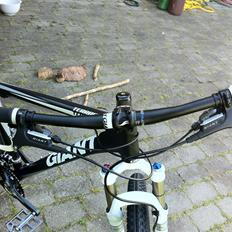 Giant Terrago