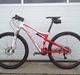 Specialized EPIC Expert 29