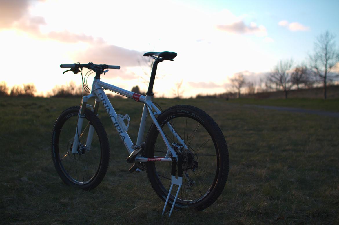 Principia MXC 2010 billede 10