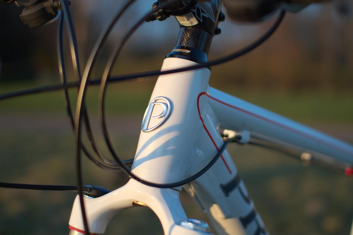 Principia MXC 2010 billede 12