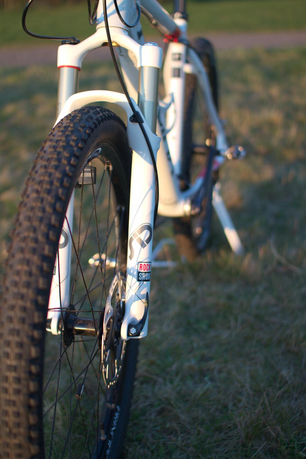 Principia MXC 2010 billede 13