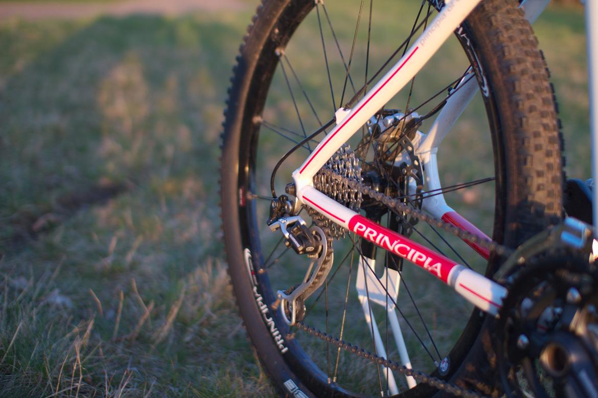Principia MXC 2010 billede 16