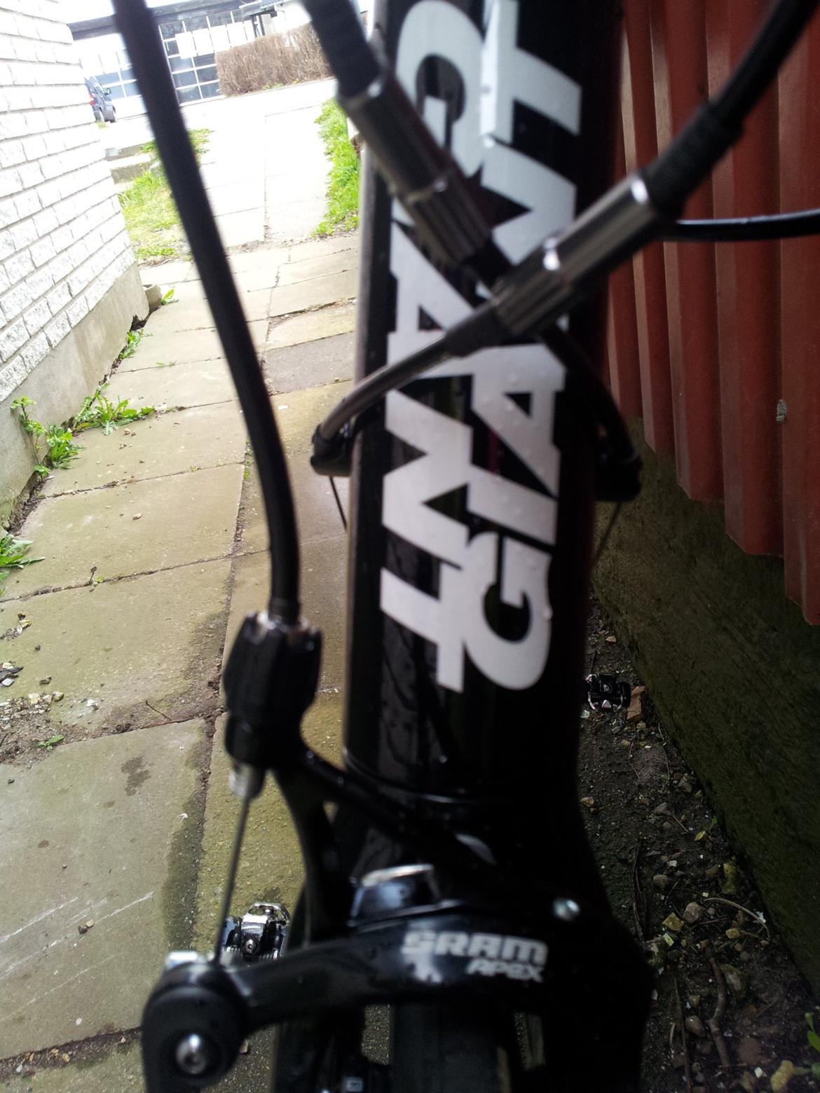 Giant Defy composite 2 billede 5