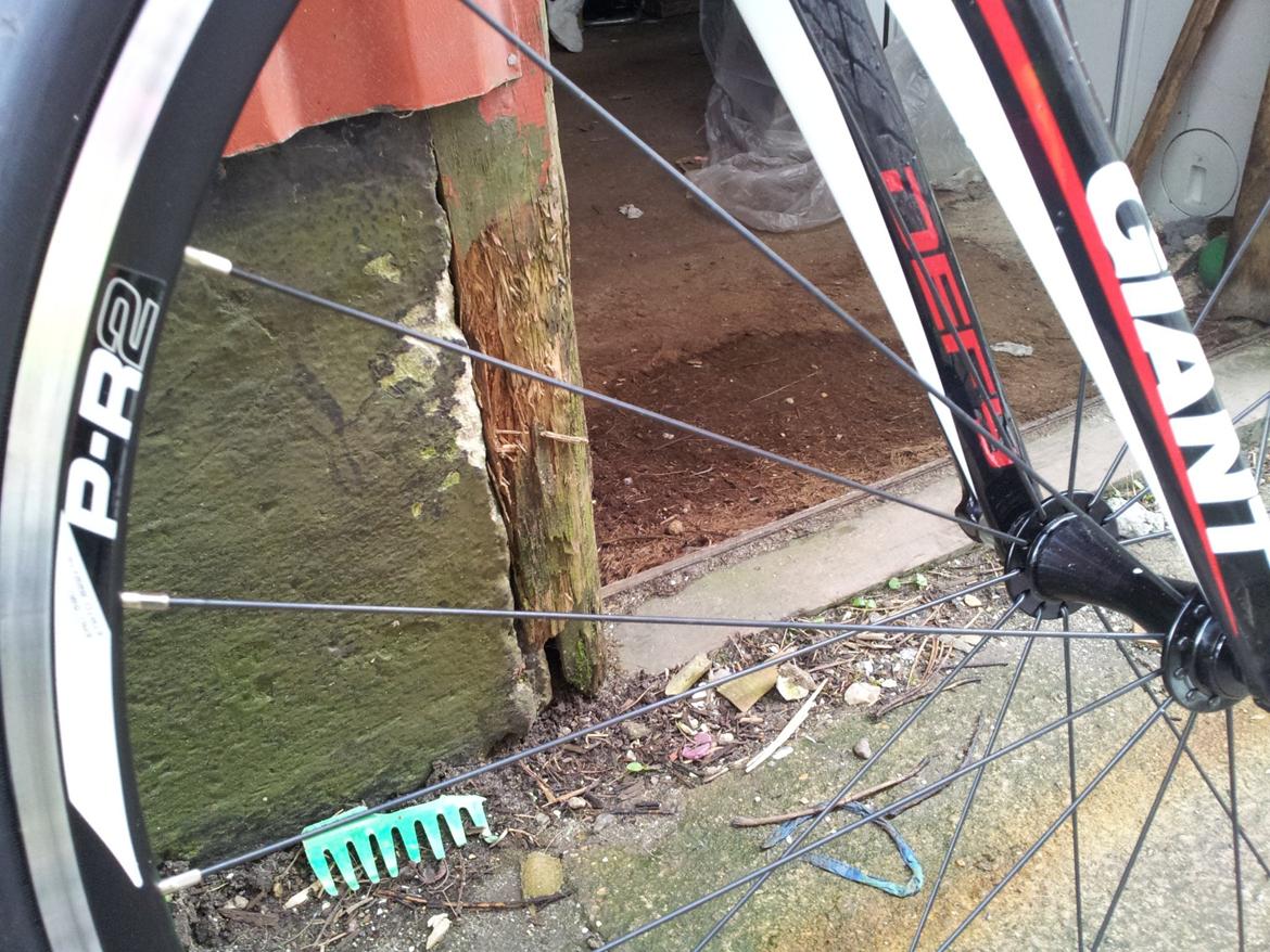 Giant Defy composite 2 billede 8