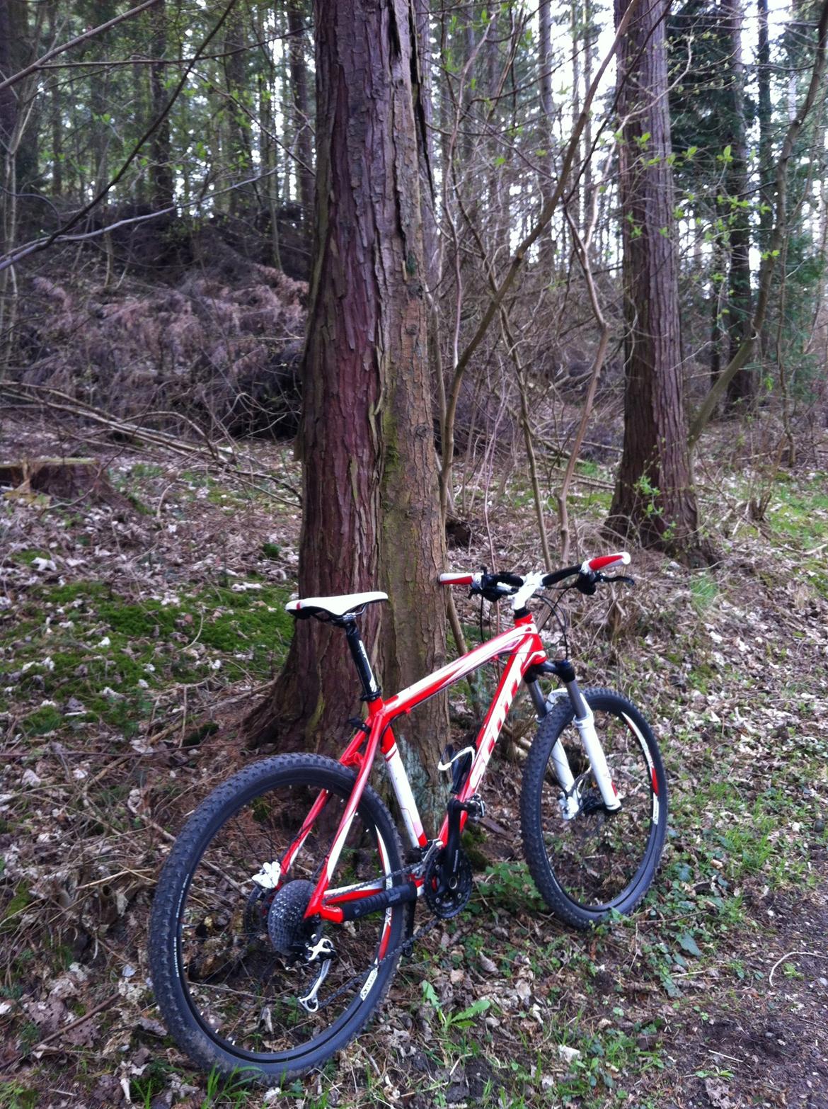 Scott Scale 60 2011 billede 6