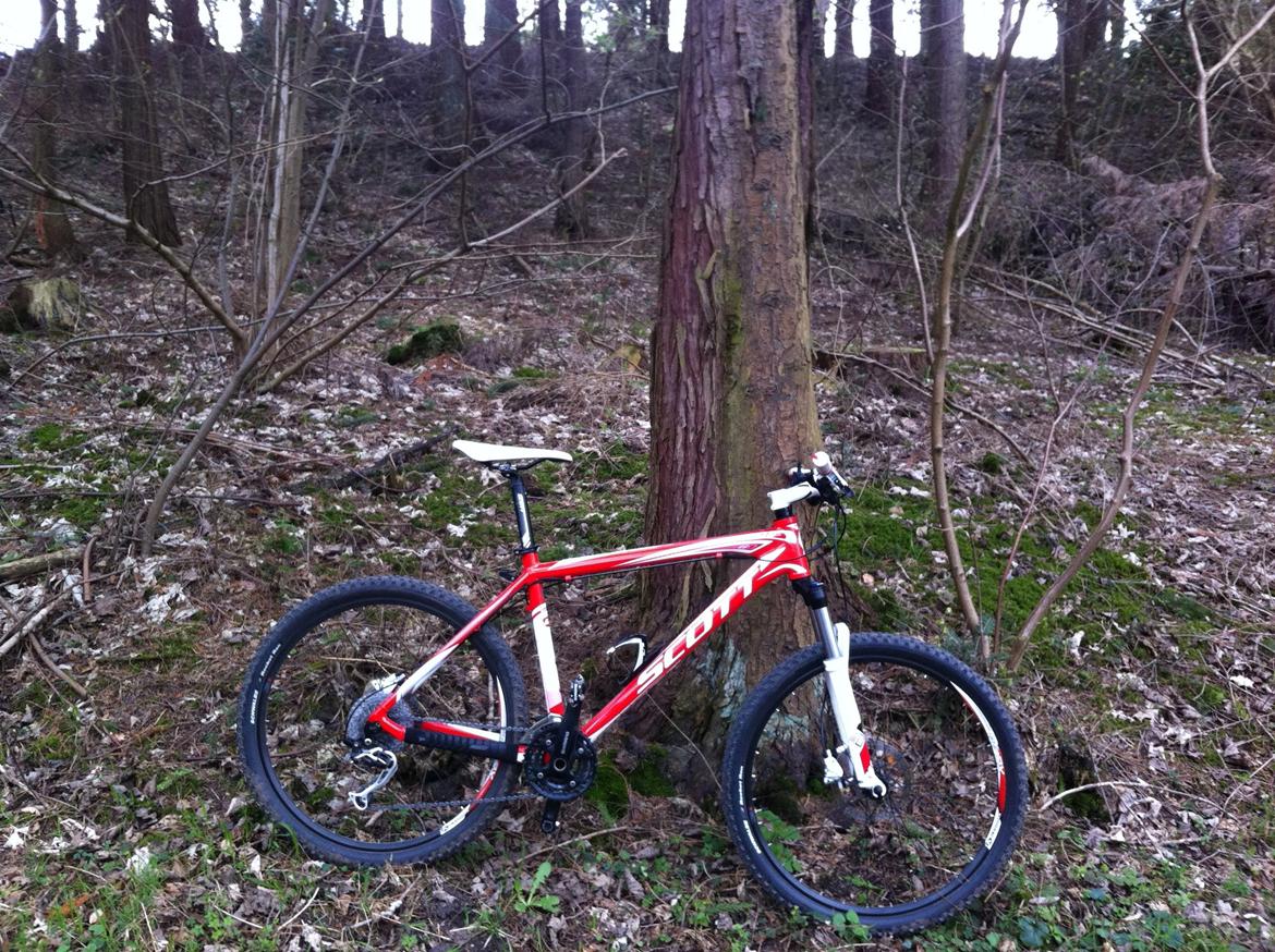 Scott Scale 60 2011 billede 7
