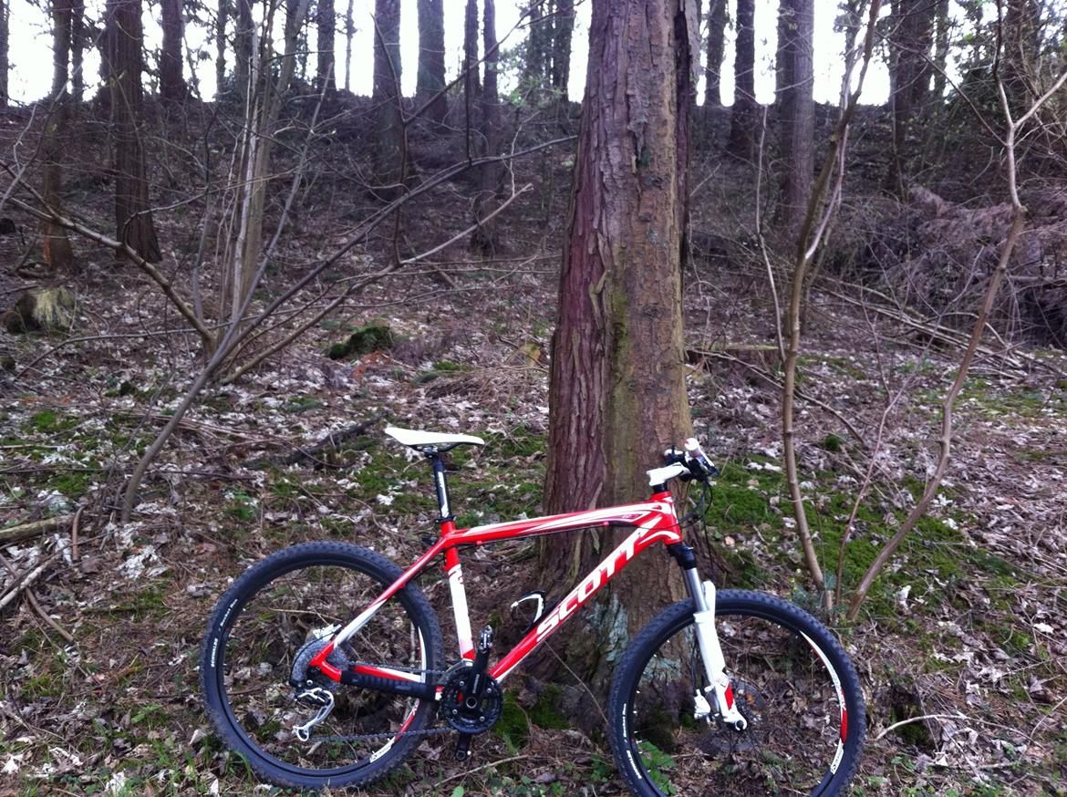 Scott Scale 60 2011 billede 8