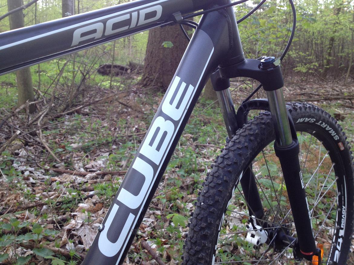 Cube Acid 2009 billede 2