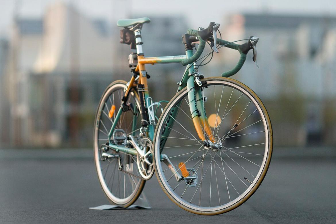 Bianchi Mega Pro L billede 1