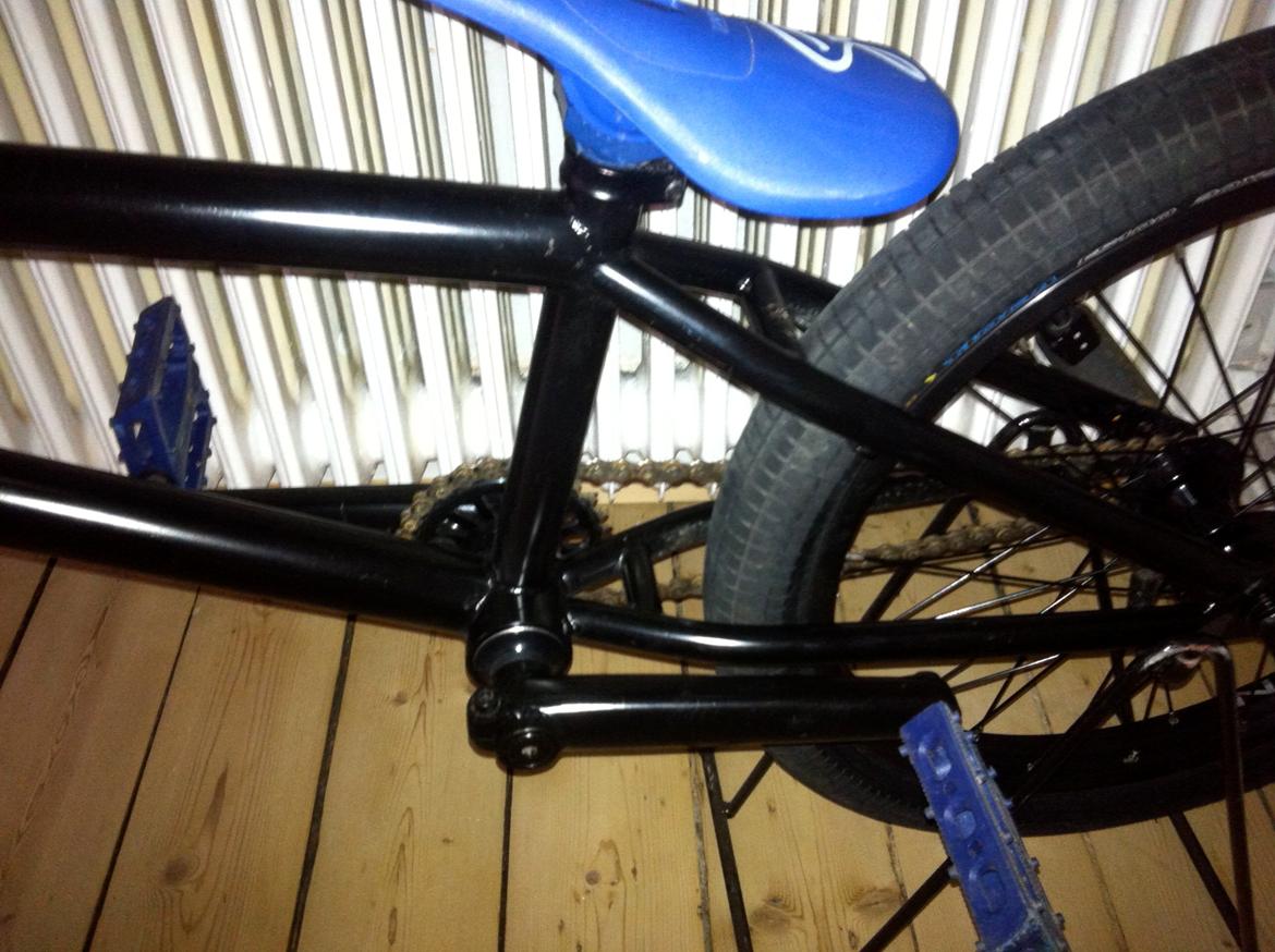 Stolen Sinner billede 3