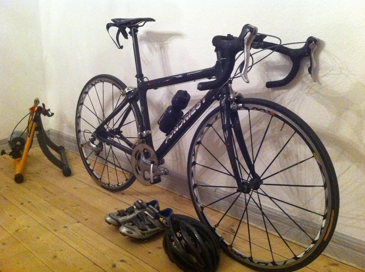 Fondriest Domino billede 1