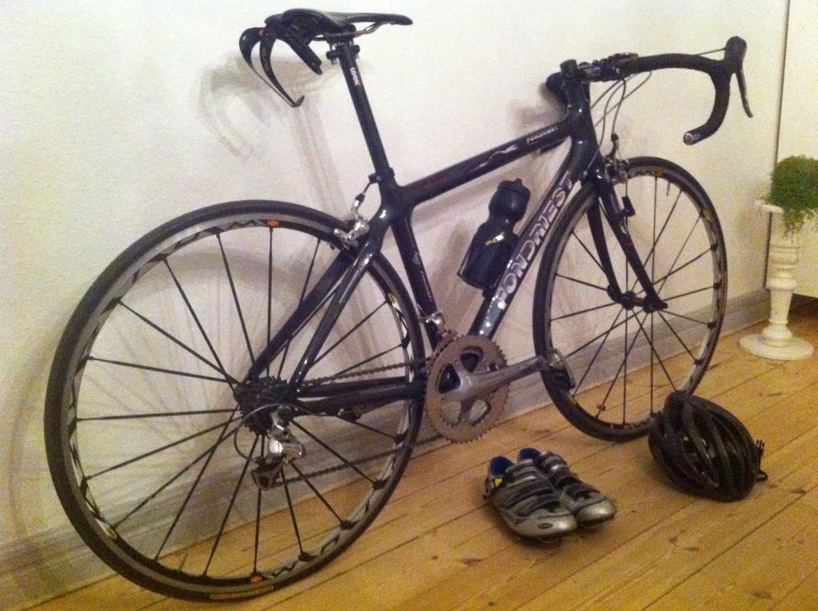 Fondriest Domino billede 2