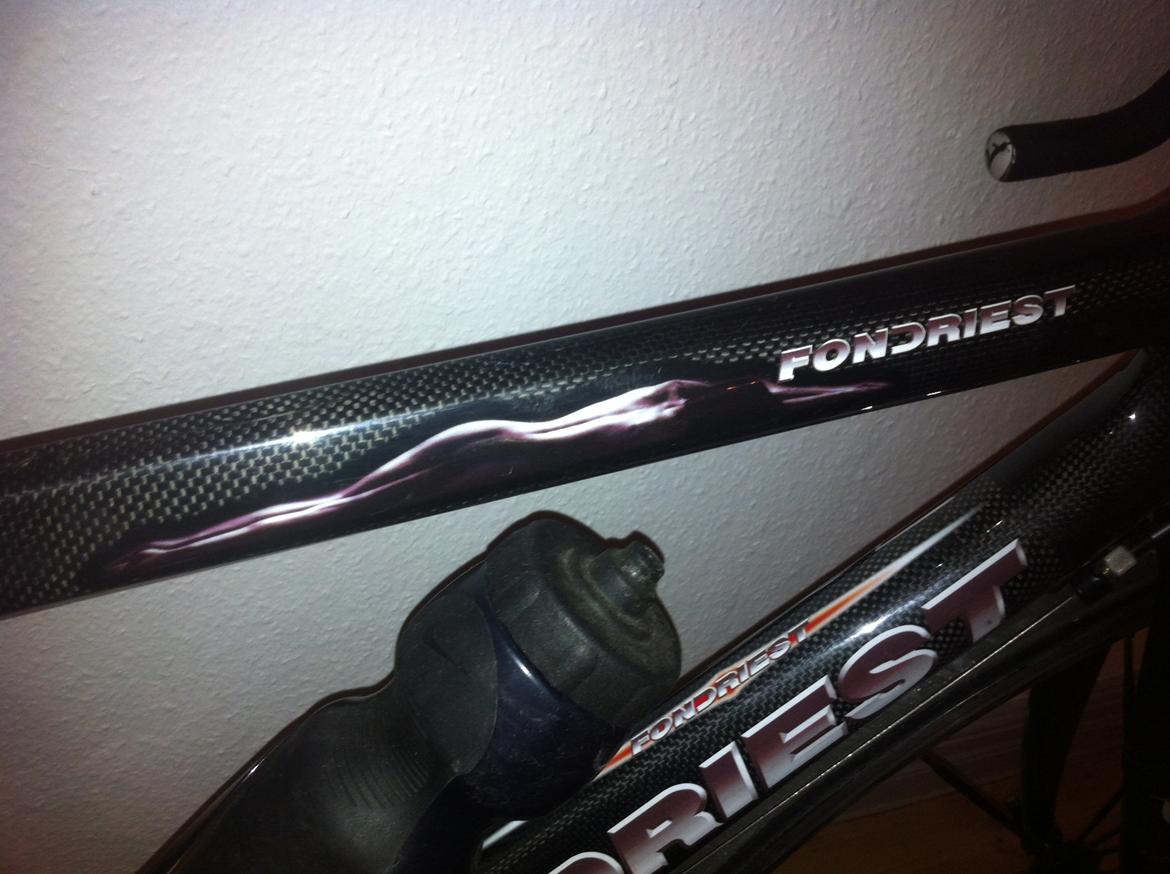 Fondriest Domino billede 3