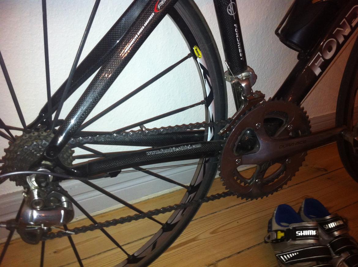 Fondriest Domino billede 4