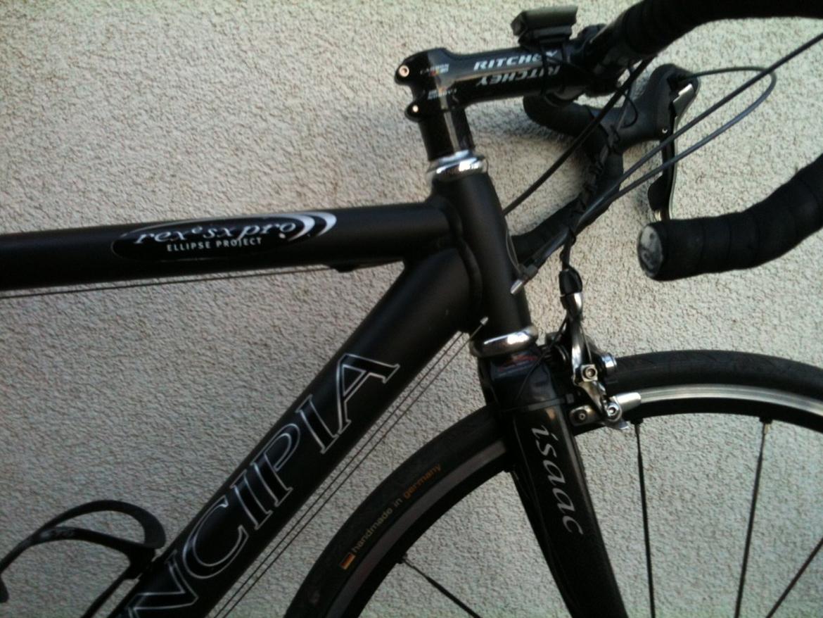 Principia REX e SX Pro billede 2