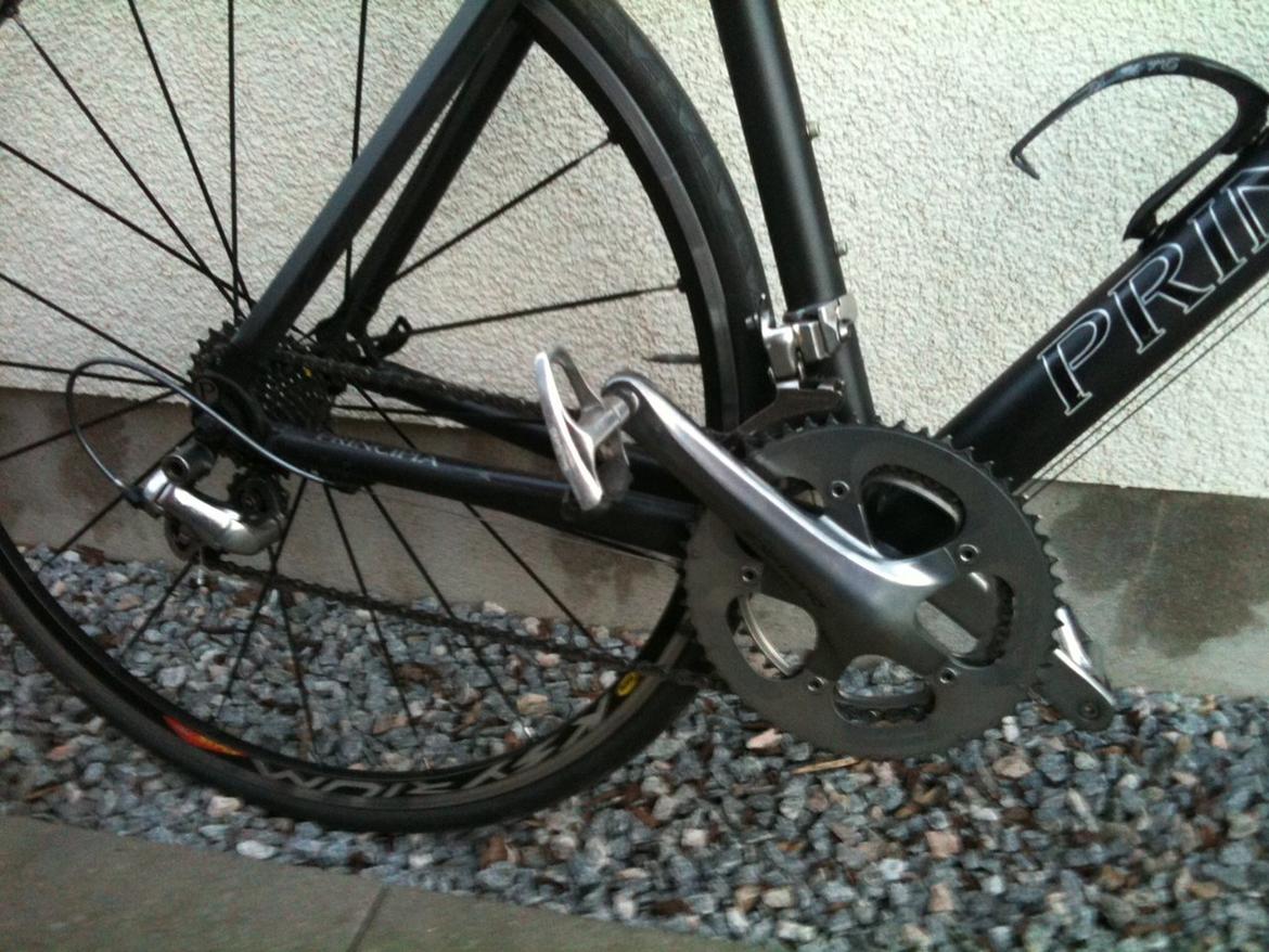 Principia REX e SX Pro billede 3