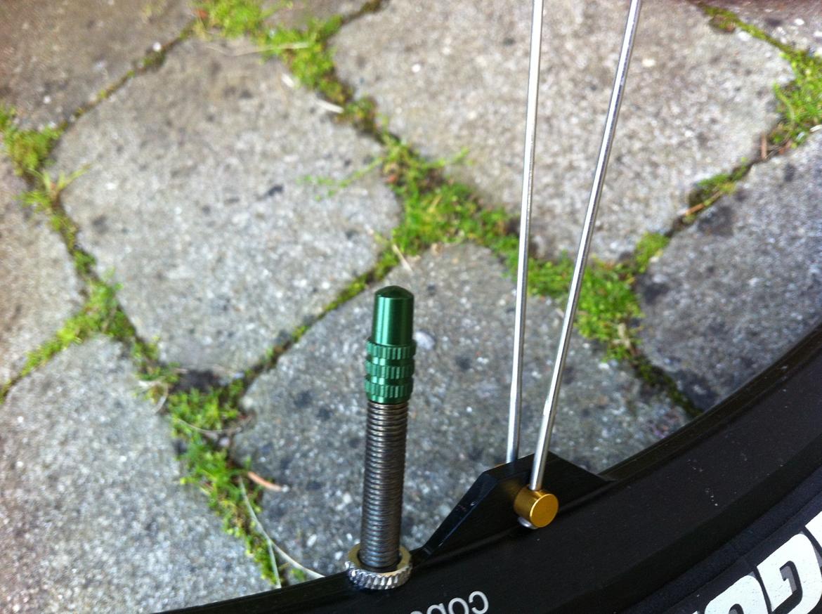 Canyon Grand Canyon Al 8.0 billede 14