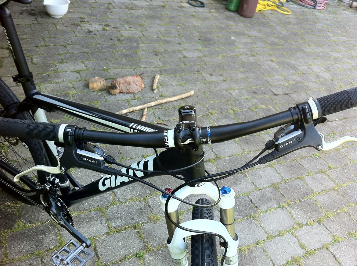 Giant Terrago billede 3