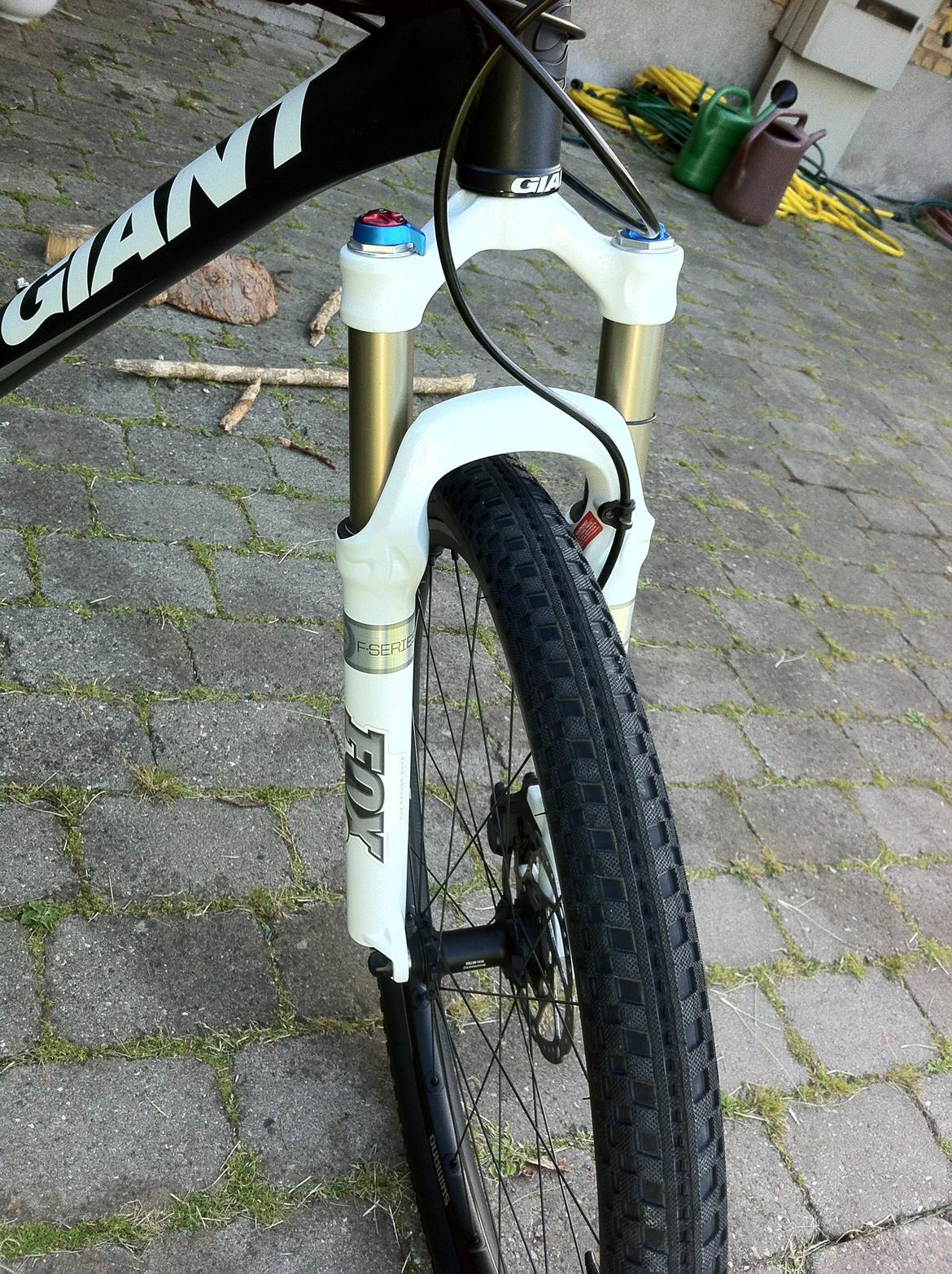 Giant Terrago billede 11