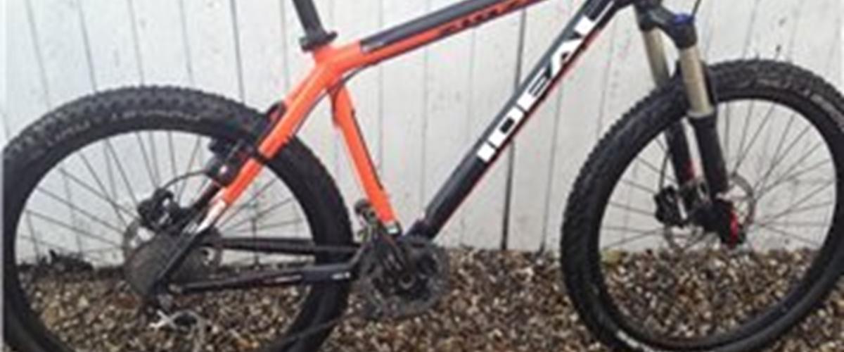 ideal zigzag mountain bike price