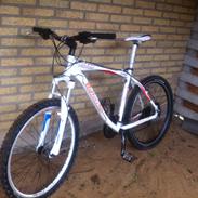 Bottecchia FX 530 2010 STJÅLET