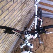 Bottecchia FX 530 2010 STJÅLET