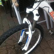 Bottecchia FX 530 2010 STJÅLET